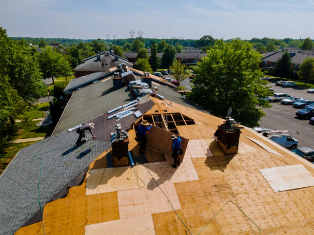 Quick and Trustworthy Emergency Roof Repair Services in Garden City, MI