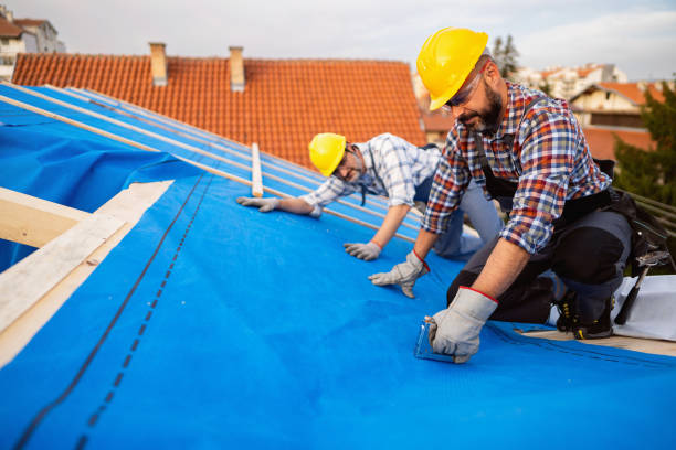 Roof Gutter Cleaning in Garden City, MI