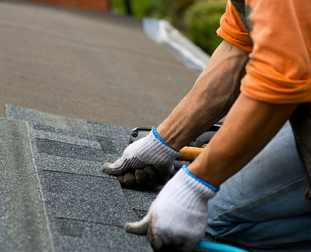 Best Local Roofing Companies  in Garden City, MI